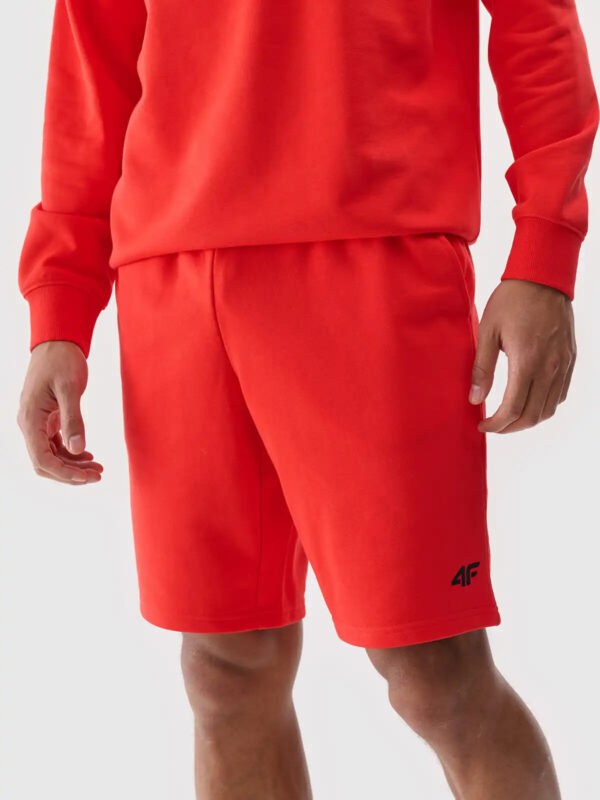 Men's Shorts 4F
