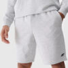 Men's Shorts 4F