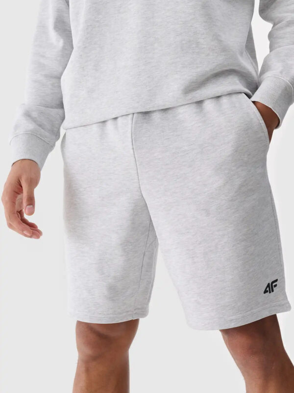 Men's Shorts 4F