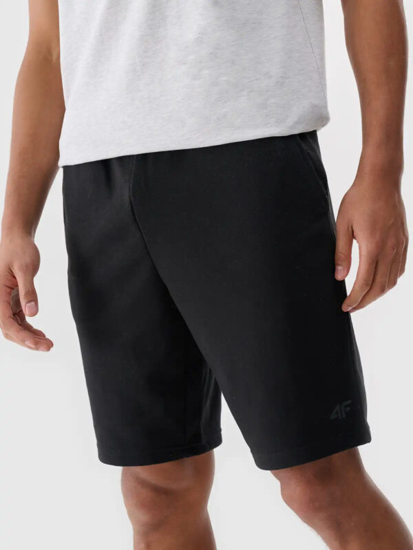 Men's Shorts 4F