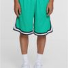 Men's Stripes Mesh Shorts - Green