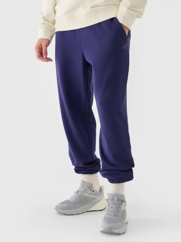 Men's Sweatpants 4F