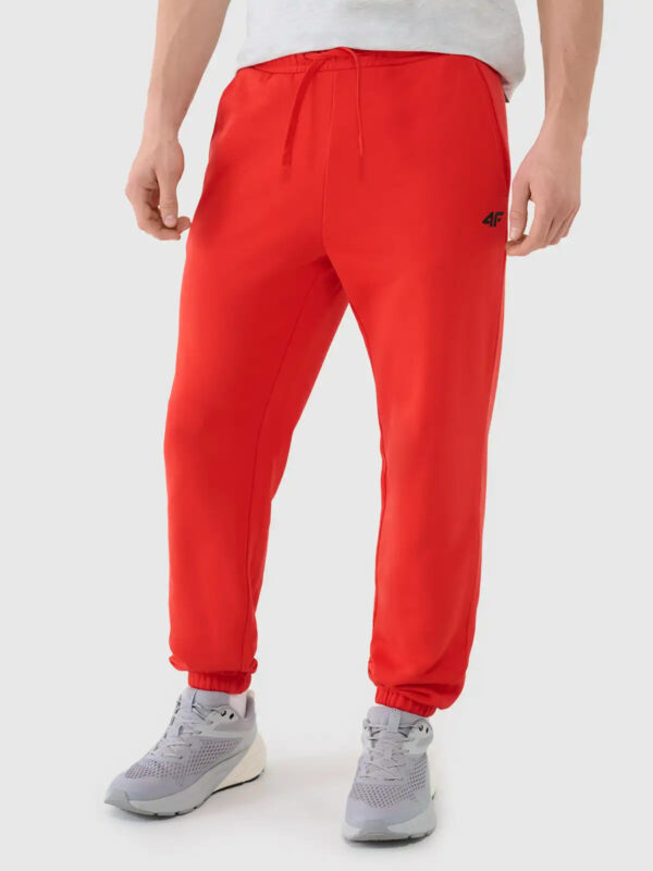Men's Sweatpants 4F