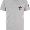 Men's T-shirt Linkin Park Flag gray