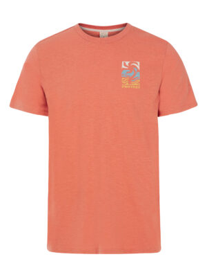 Men's T-shirt Protest PRTROCHA