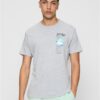 Men's T-shirt Zoar gray