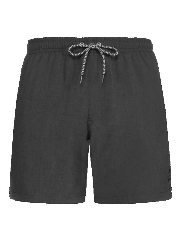 Men's beach shorts Protest DAVEY