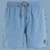 Men's beach shorts Protest DAVEY