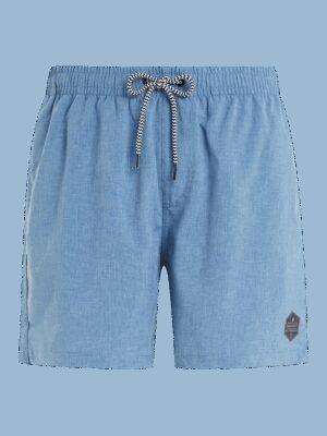 Men's beach shorts Protest DAVEY