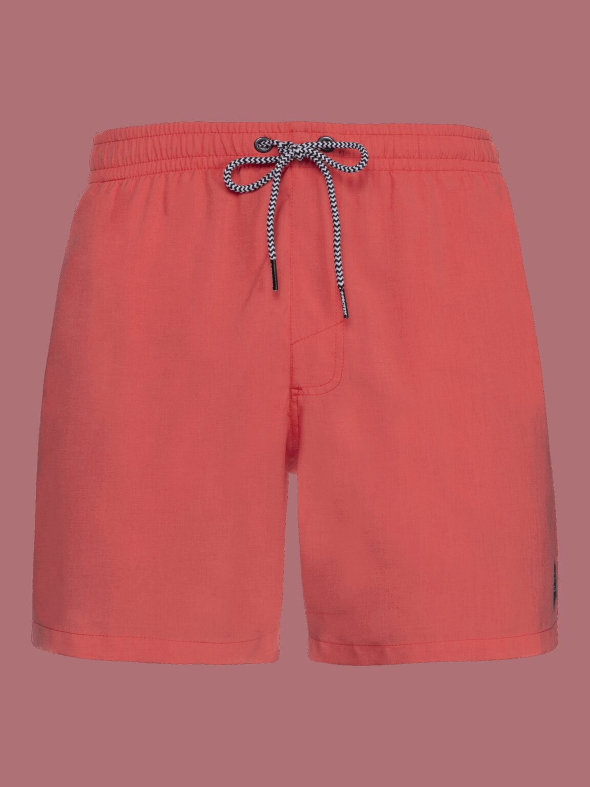Men's beach shorts Protest DAVEY