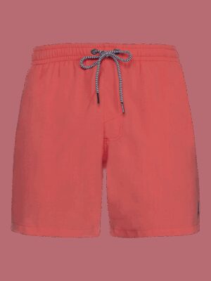 Men's beach shorts Protest DAVEY