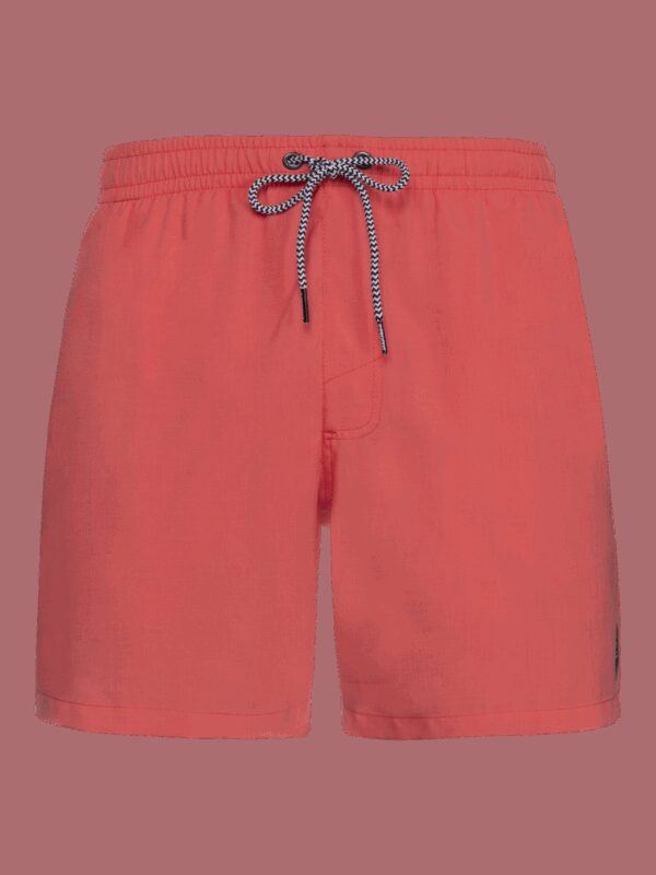 Men's beach shorts Protest DAVEY