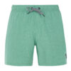 Men's beach shorts Protest DAVEY