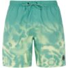 Men's beach shorts Protest PRTAGOR