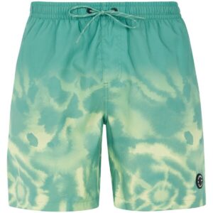 Men's beach shorts Protest PRTAGOR