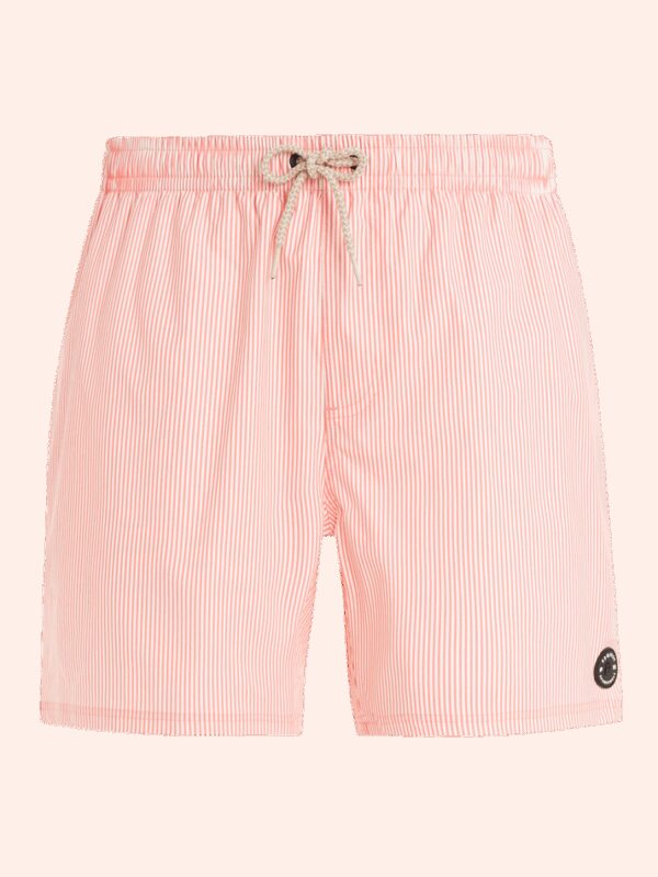 Men's beach shorts Protest PRTMANAMA