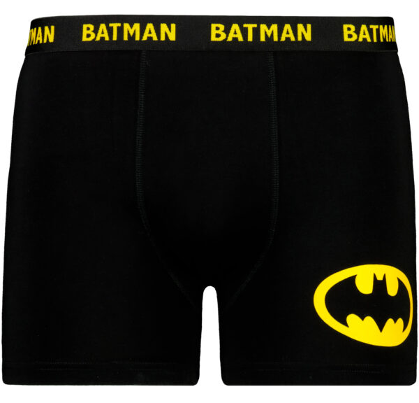 Men's boxer Batman - Frogies