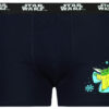 Men's boxer Batman - Frogies