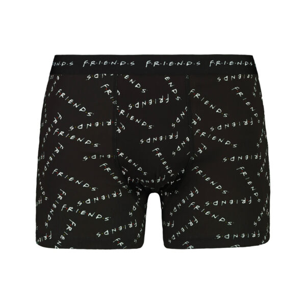 Men's boxer FRIENDS - Frogies