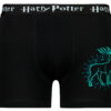 Men's boxer Harry Potter - Frogies