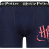 Men's boxer Harry Potter - Frogies