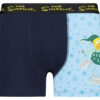 Men's boxer Simpsons - Frogies