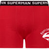Men's boxer Superman - Frogies