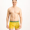Men's boxers Frogies Zodiac Ikrek