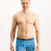 Men's boxers Frogies Zodiac Nyilas