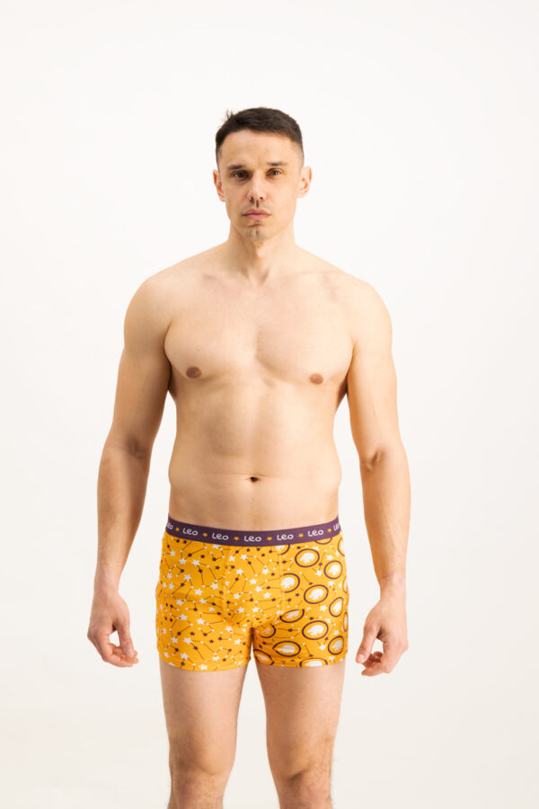 Men's boxers Frogies Zodiac Oroszlán