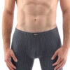 Men's boxers Gino gray