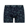 Men's boxers Snowflakes Frogies Christmas