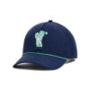 Men's cap Under Armour M Driver Snapback