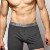 Men's classic boxer shorts with buttons ATLANTIC - dark gray