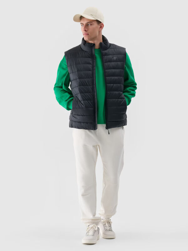 Men's down vest 4F