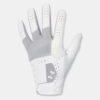 Men's gloves Under Armour Glide Iso-Chill Pro - Men's
