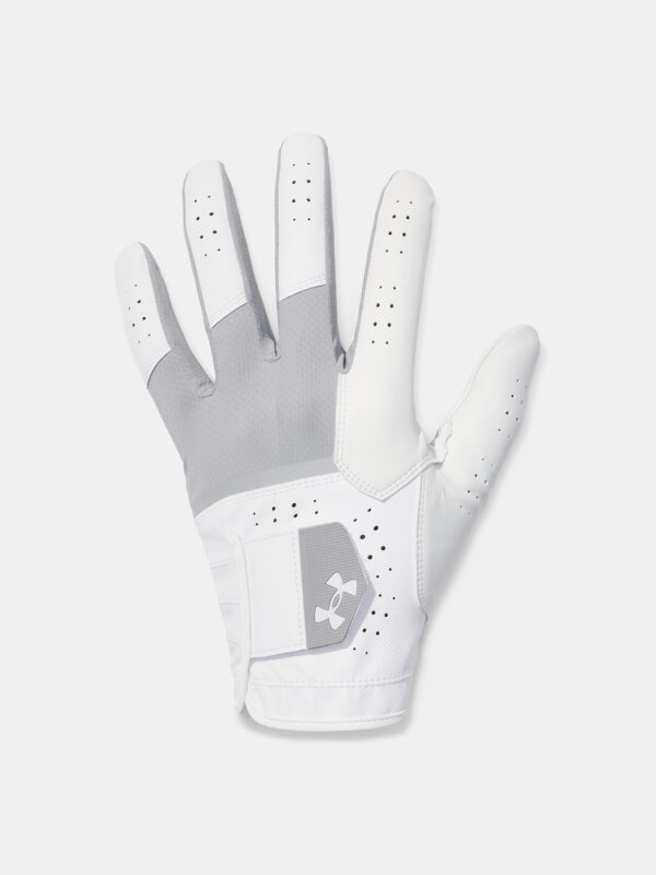Men's gloves Under Armour Glide Iso-Chill Pro - Men's
