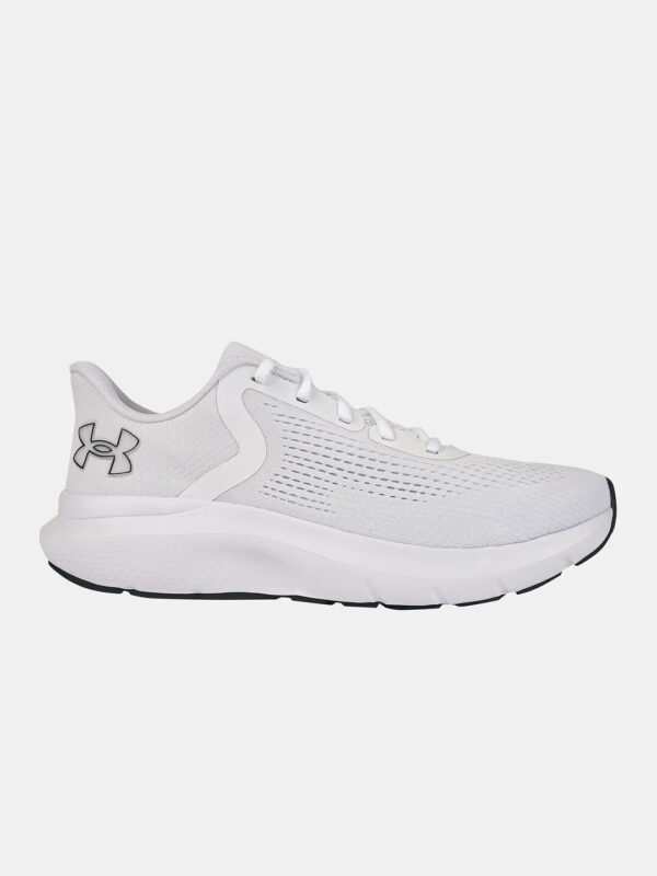 Men's shoes Under Armour Charged Rogue 5