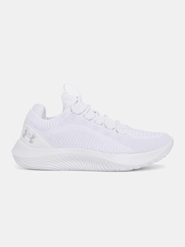 Men's shoes Under Armour UA Dynamic 2 - Men's