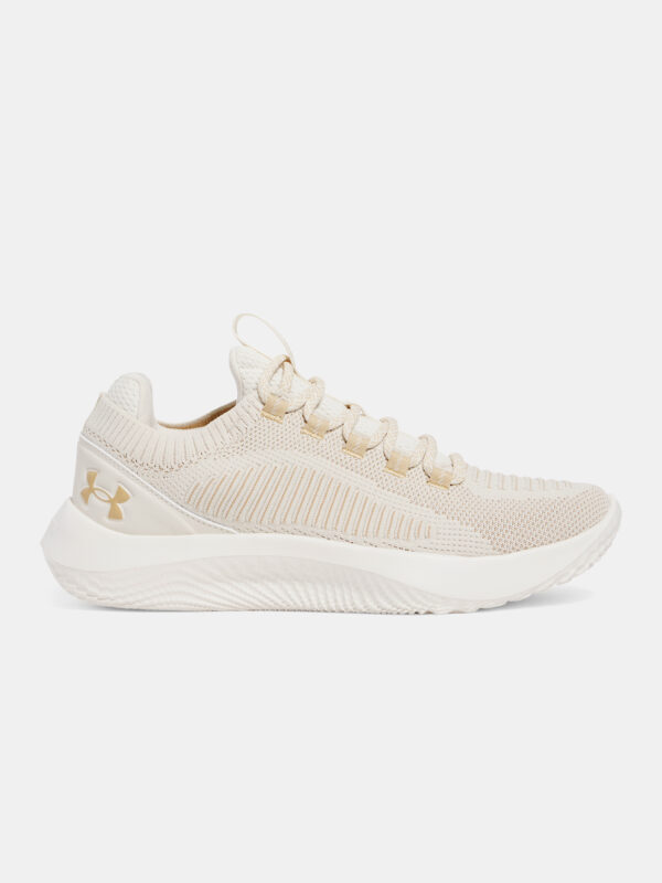 Men's shoes Under Armour UA Dynamic 2 - Men's