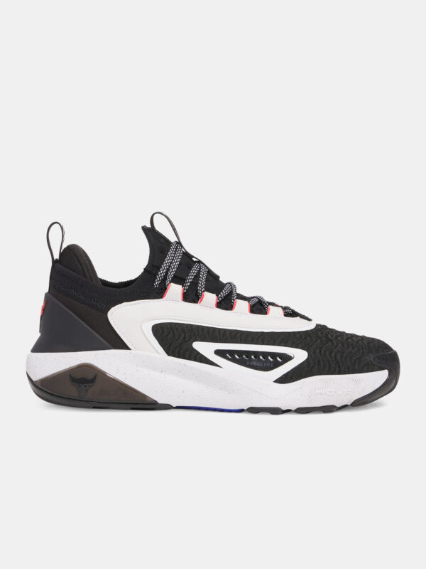 Men's shoes Under Armour UA Project Rock 7 - Men's