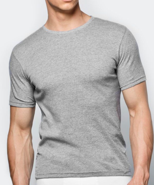 Men's short-sleeved T-shirt ATLANTIC - light grey