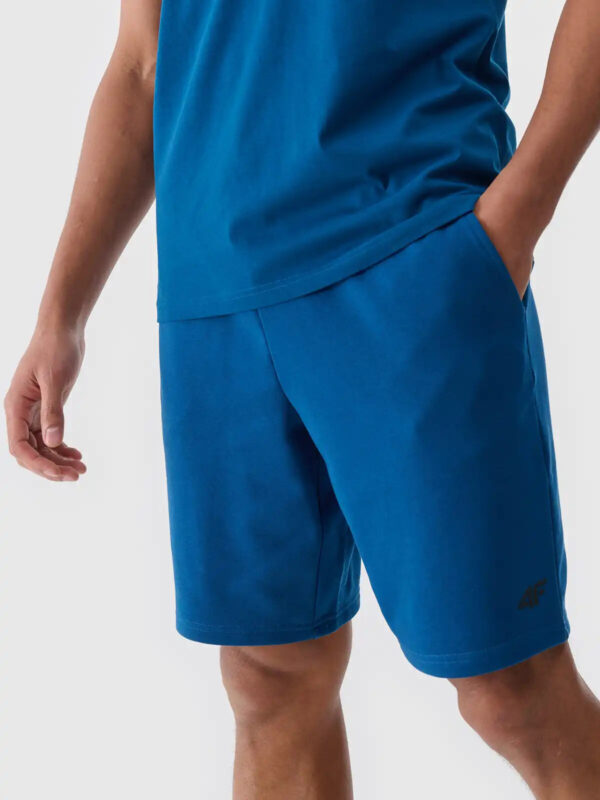 Men's shorts 4F