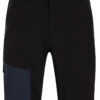 Men's shorts LOAP UZLAN Black/Blue