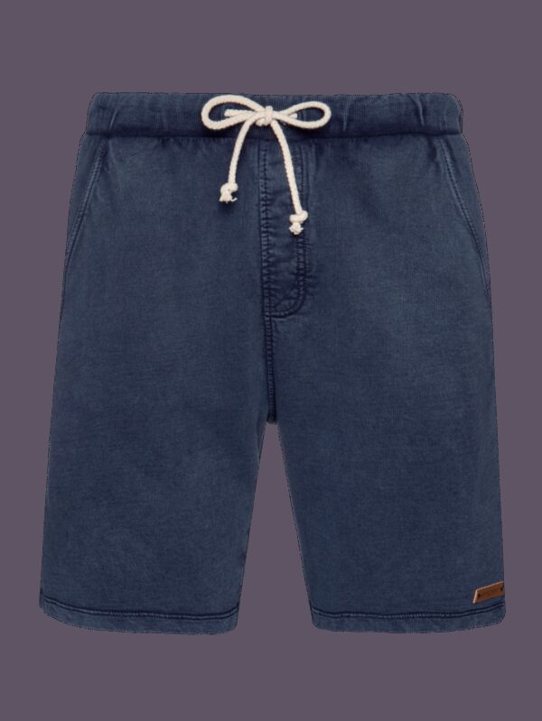 Men's shorts Protest CARVER