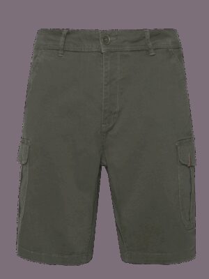 Men's shorts Protest PRTNYTRO