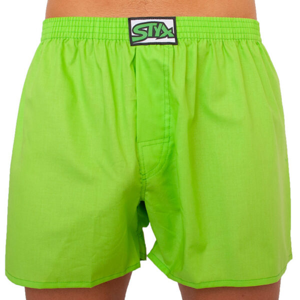 Men's shorts Styx classic rubber oversized green (E1069)