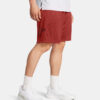 Men's shorts Under Armour Tech Graphic Short
