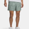 Men's shorts Under Armour UA Icon Volley Cargo Shorts - Men's