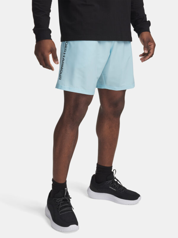 Men's shorts Under Armour UA Tech Woven Wordmark Short - Men's